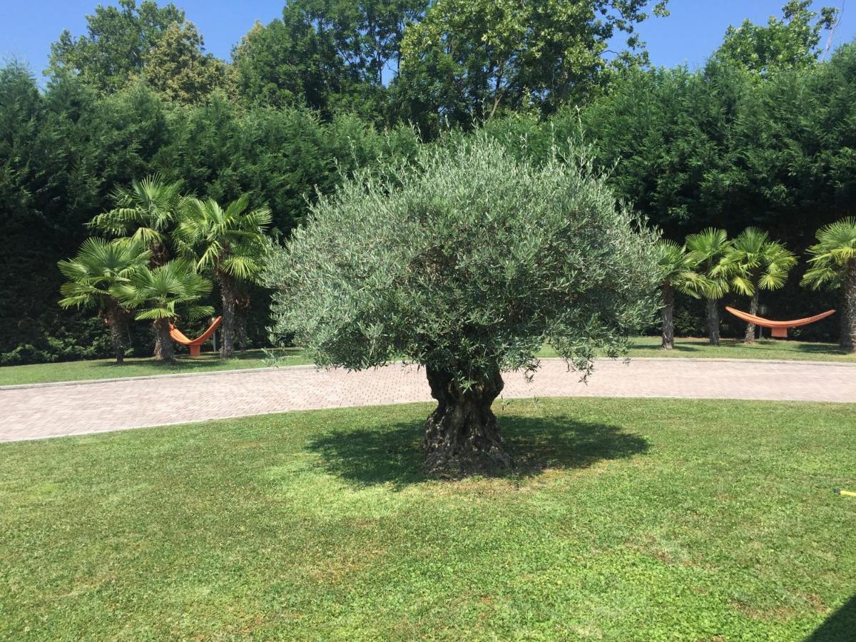 Villa Althea Ronago Exterior foto
